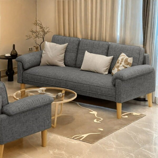 PakUnique gray compact couch in a living room setup